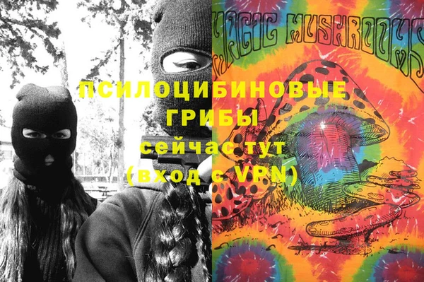 герыч Новозыбков