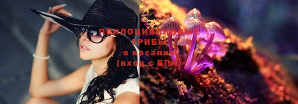 спайс Нягань