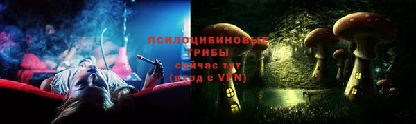 сатива Нязепетровск
