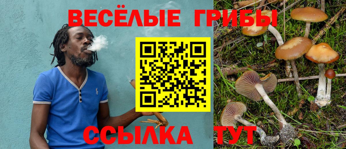 Псилоцибиновые грибы MAGIC MUSHROOMS Аргун