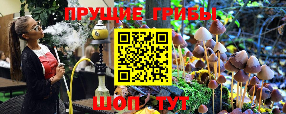 Галлюциногенные грибы прущие грибы  Вход с VPN  Аргун 