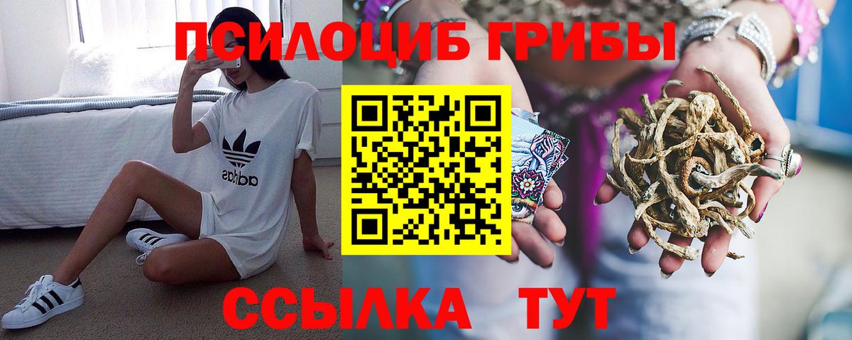 Галлюциногенные грибы MAGIC MUSHROOMS Аргун