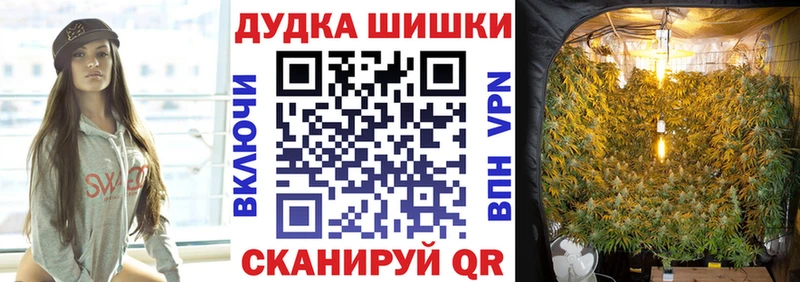 Конопля MAZAR  купить  цена  кракен маркетплейс  Аргун 