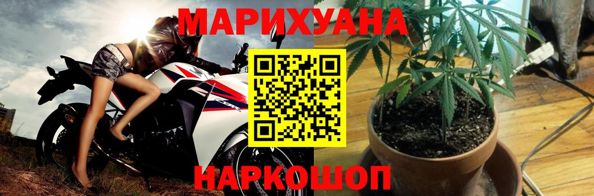 Бошки Шишки конопля  Конопля семена  Шишки марихуана White Widow  Шишки марихуана AK-47  Аргун 